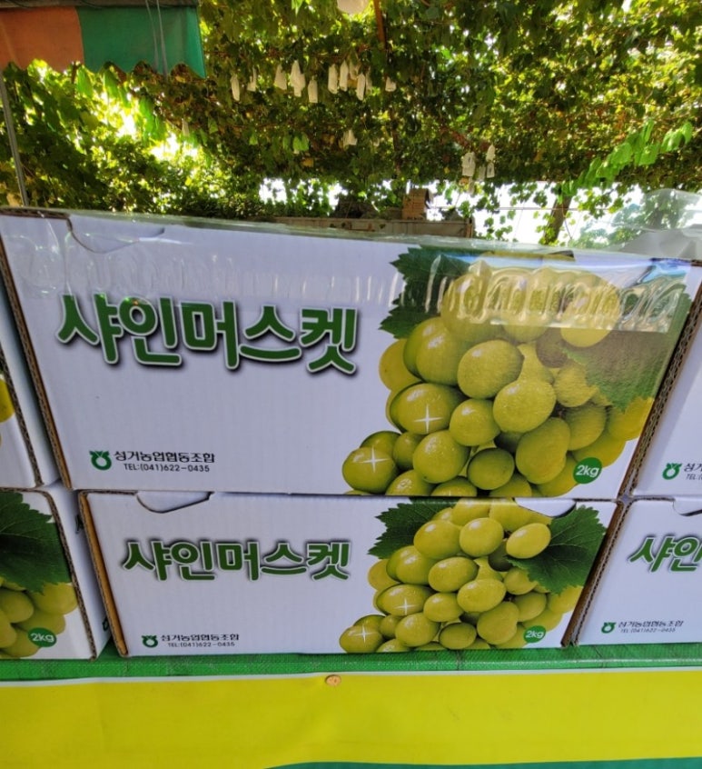 청풍농원 이미지