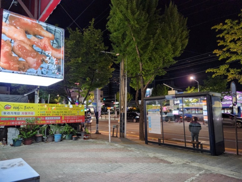 살아있네산곰장어 이미지