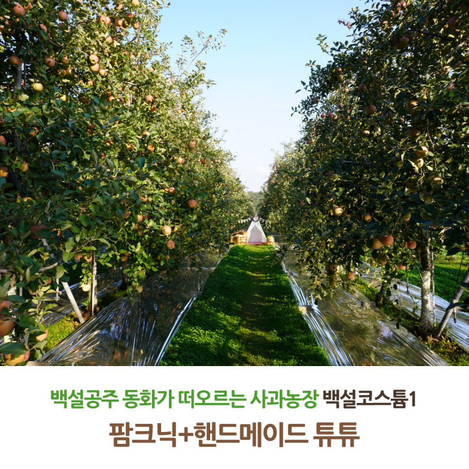 포마이앤젤 이미지