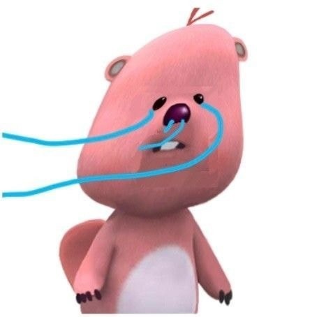 하피케이크 이미지