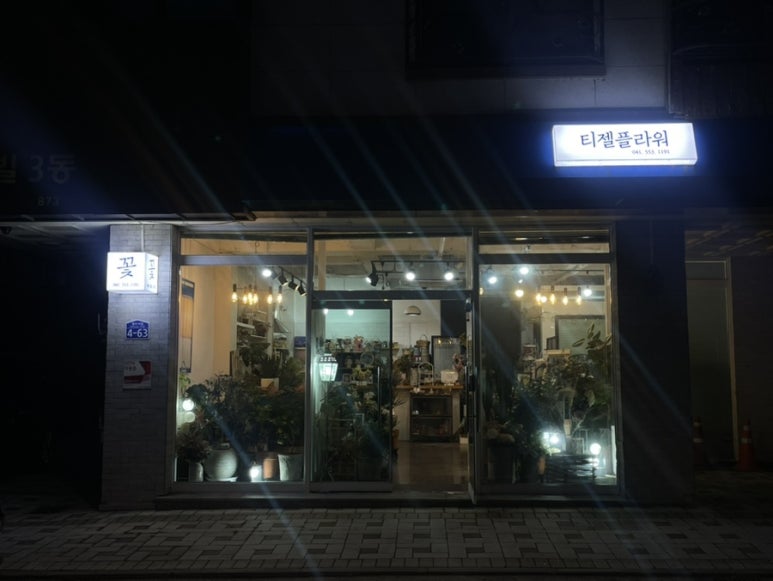 티젤플라워 이미지