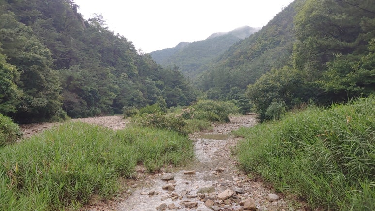 아름다운 산책 이미지