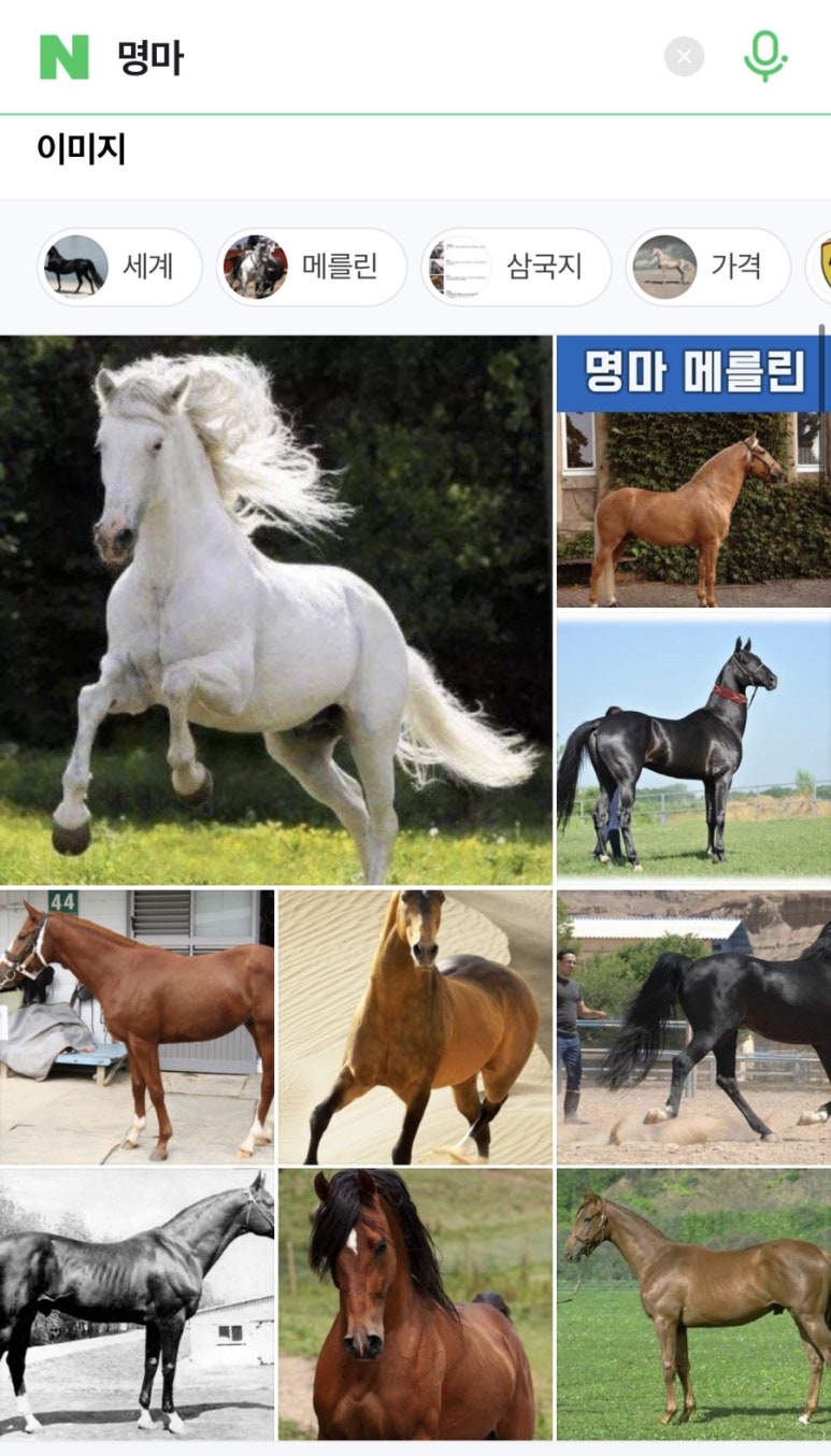 닭꼬치광 이미지