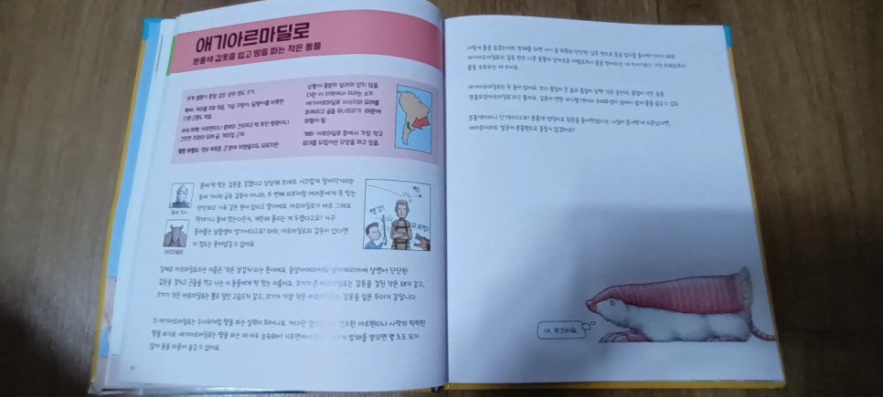 차이나게 판다 이미지