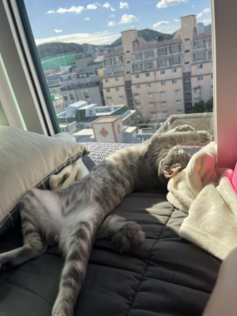 상희인테리어 이미지