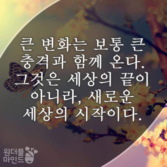 레터스 이미지