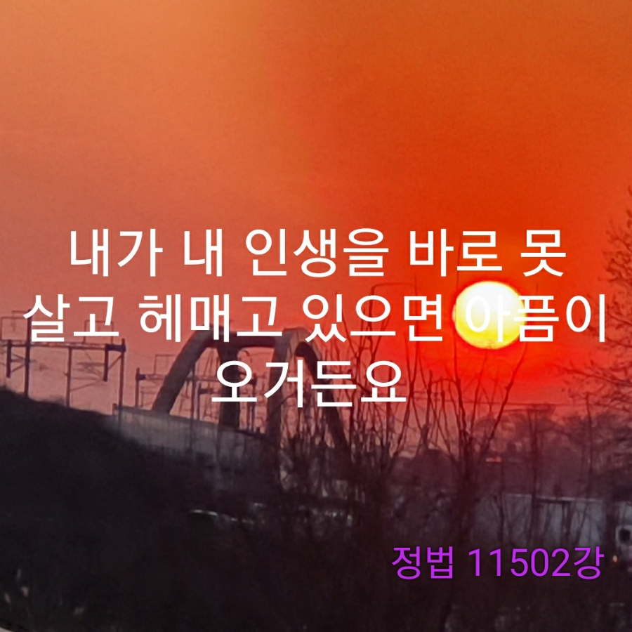 월드홍익선원 이미지