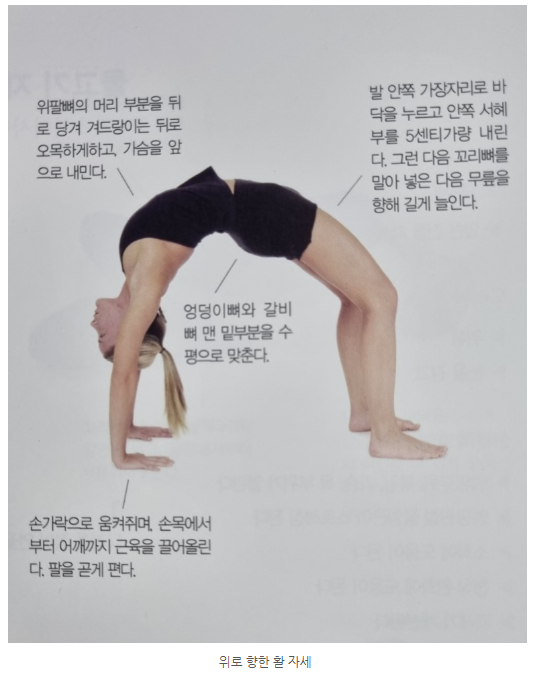 오하운폴댄스학원 이미지