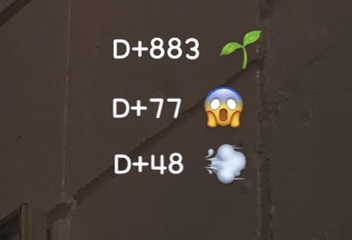 커피마마동송점 이미지