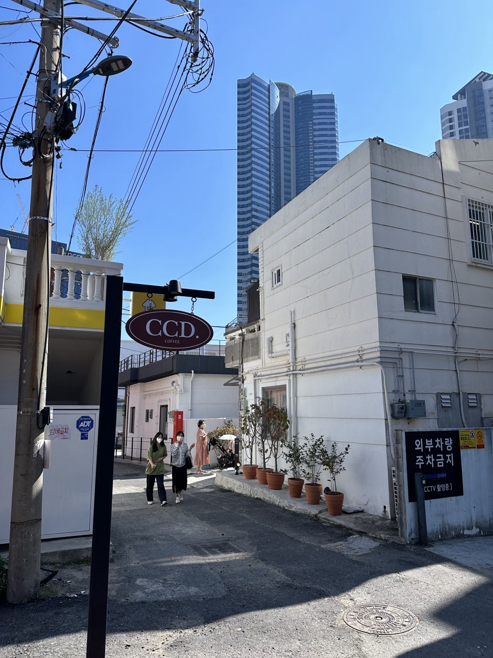 카페CCD부산 이미지