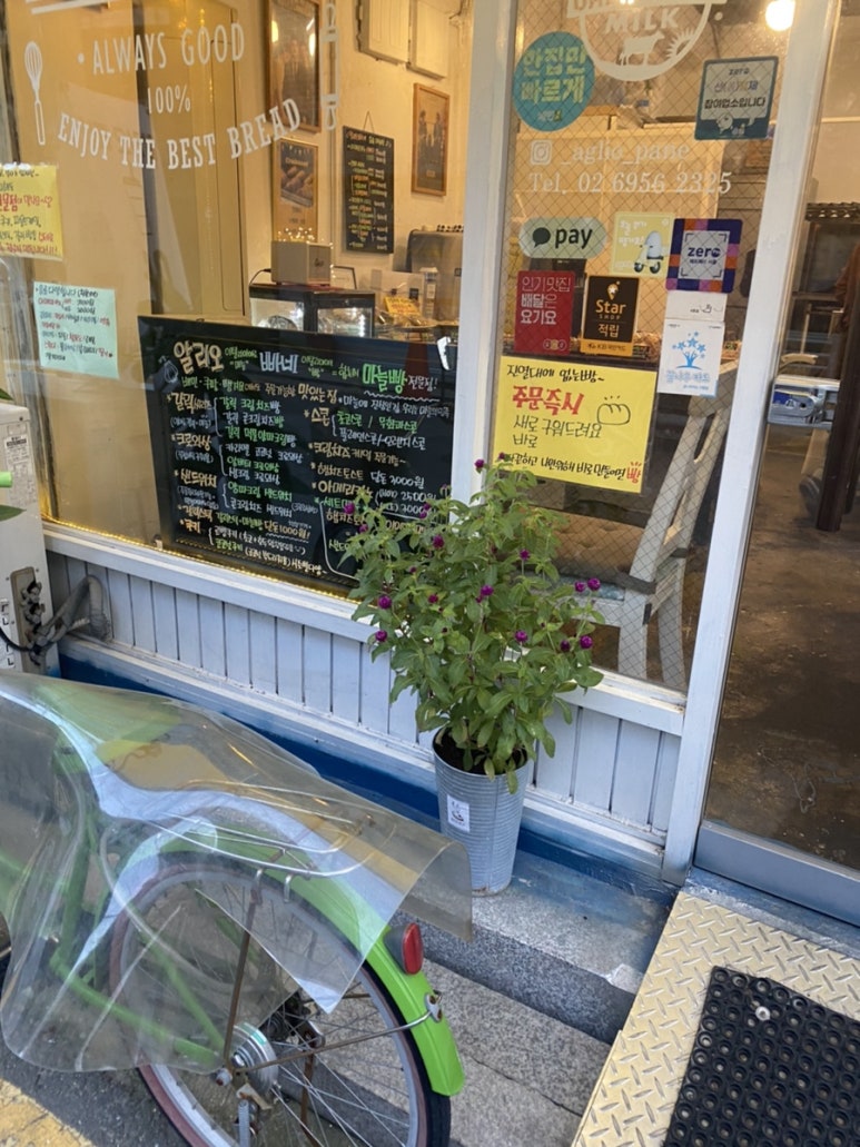 알리오빠네 이미지