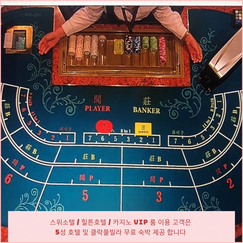 필프리제이투어 이미지