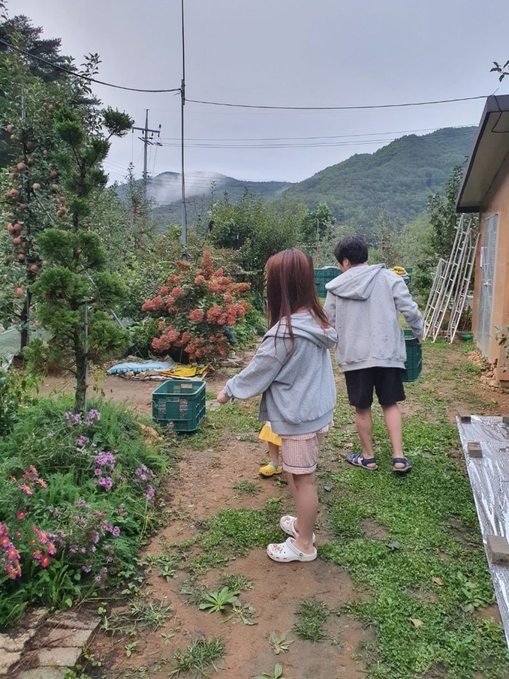 사일산 이미지