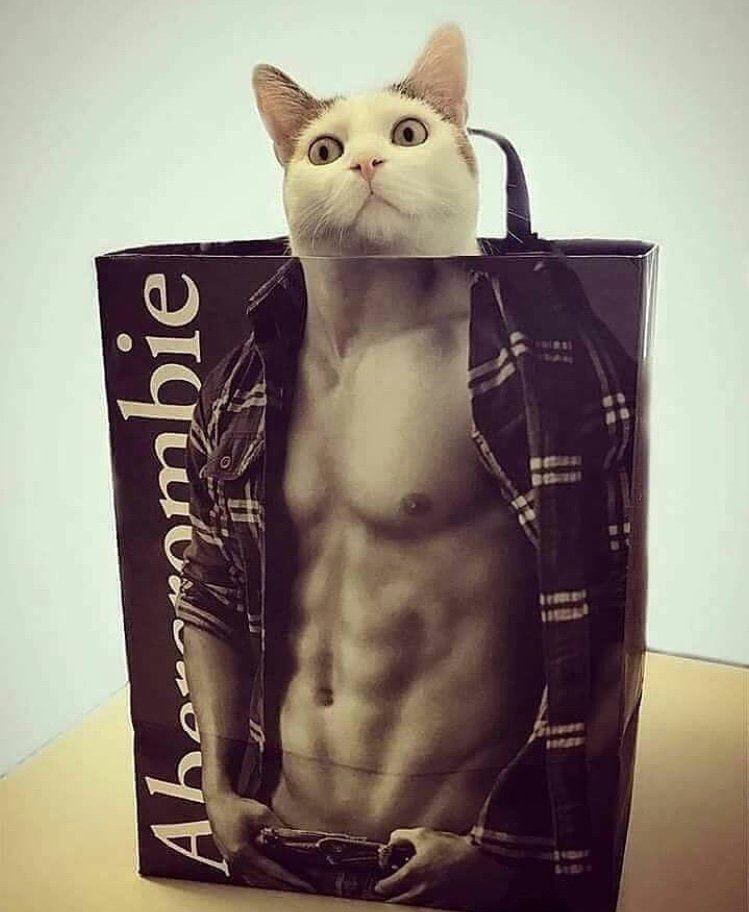 브레드킹 이미지
