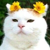국립유명산자연휴양림 이미지