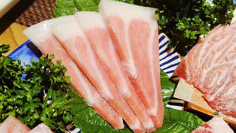 피지참치 이미지