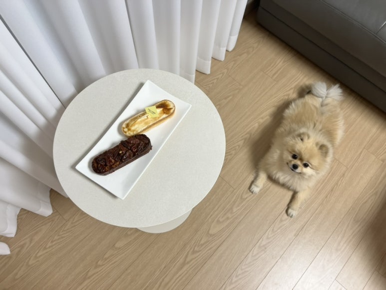폴린디 이미지
