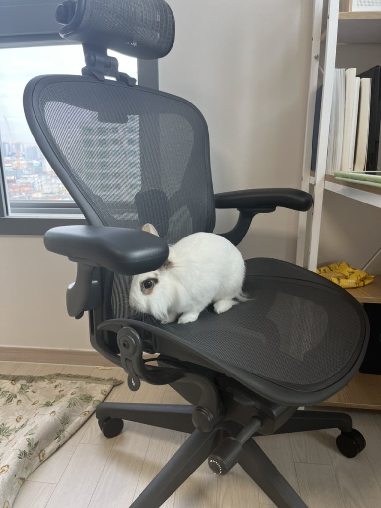 성광축산 이미지