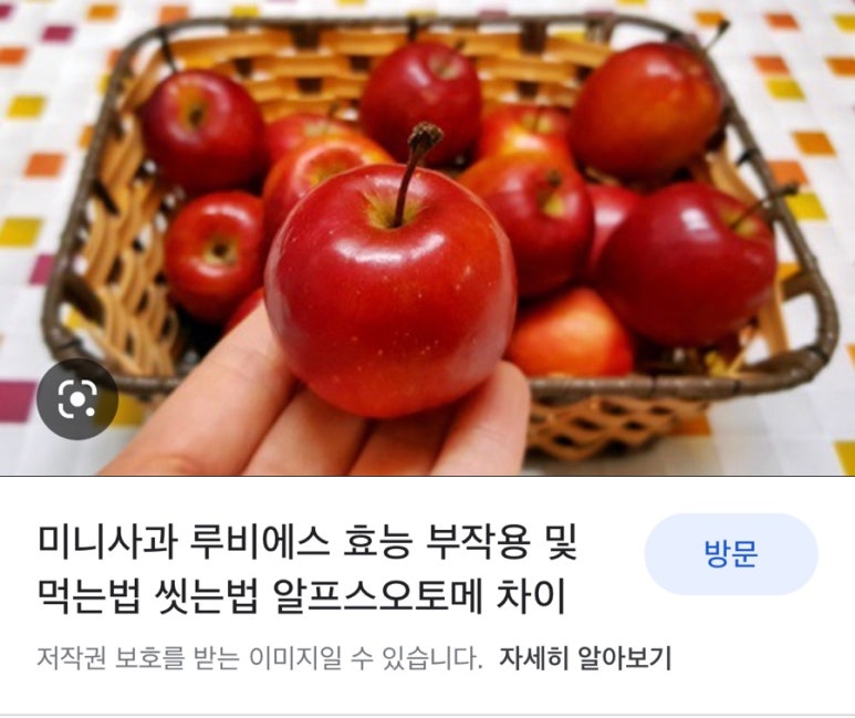 해피79하우스 이미지