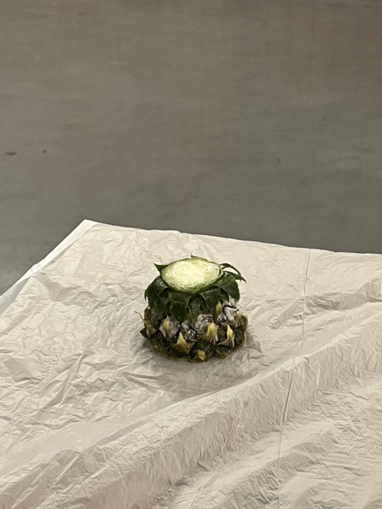 스마일락볼링장 이미지