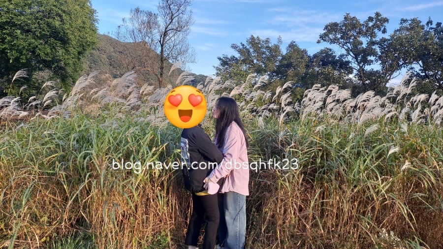 오름미디어 이미지