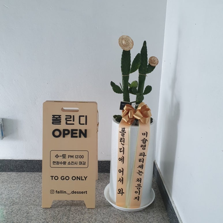 폴린디 이미지