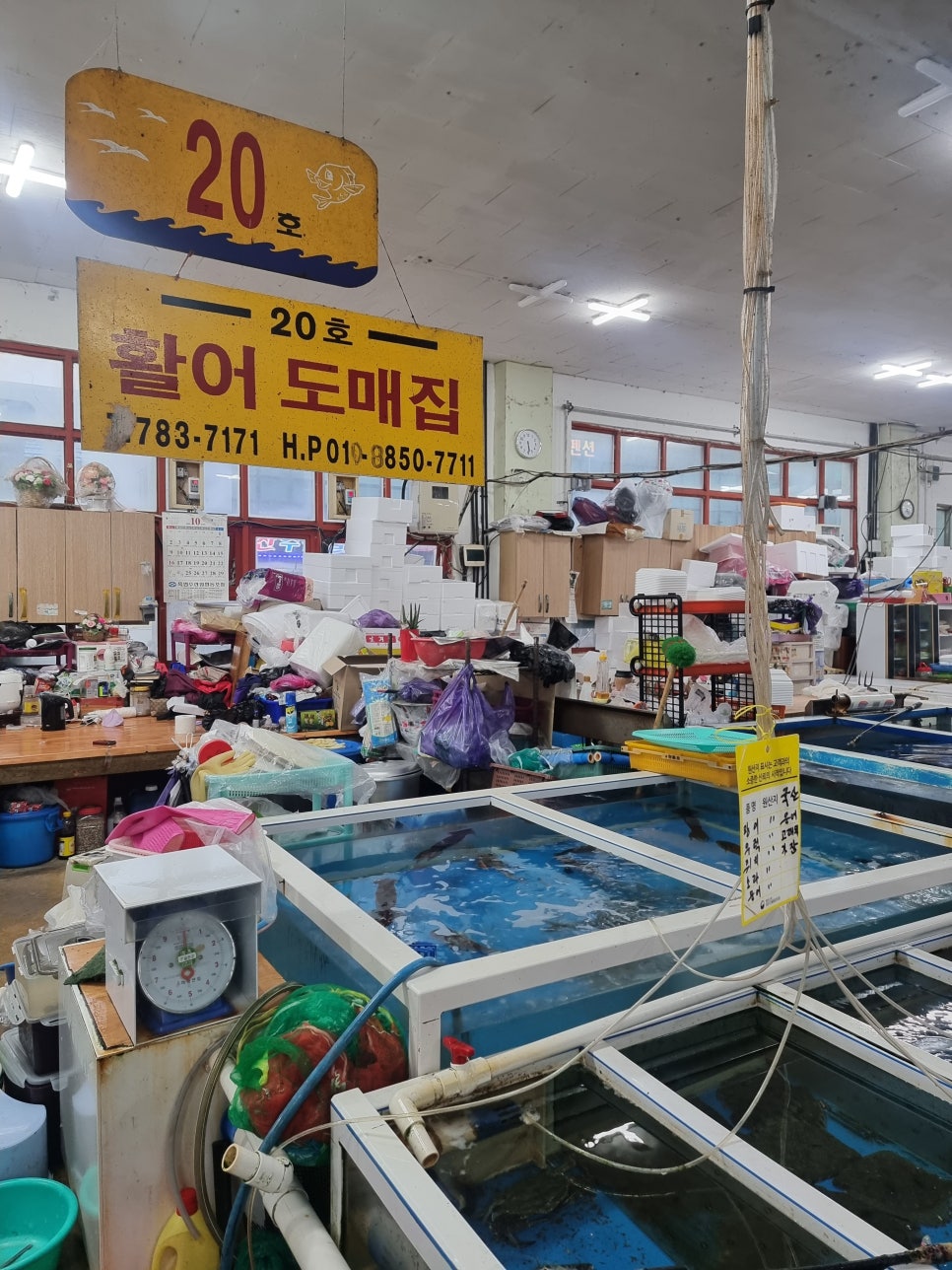 수협회도매센터 이미지