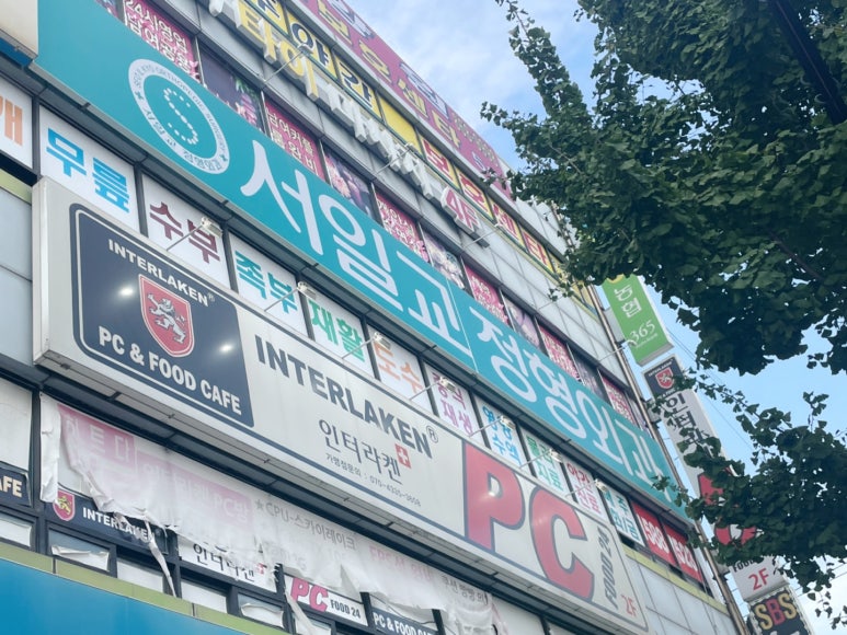 서일교정형외과 이미지