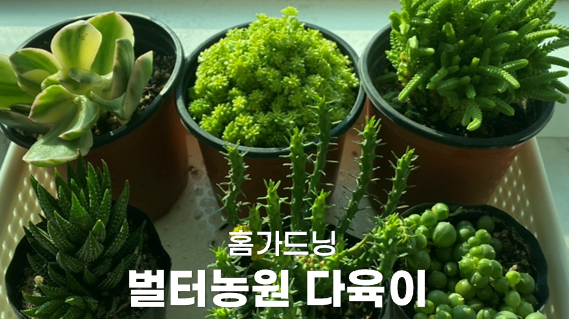 생기농원 이미지