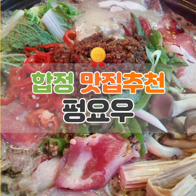 펑요우합정역 이미지