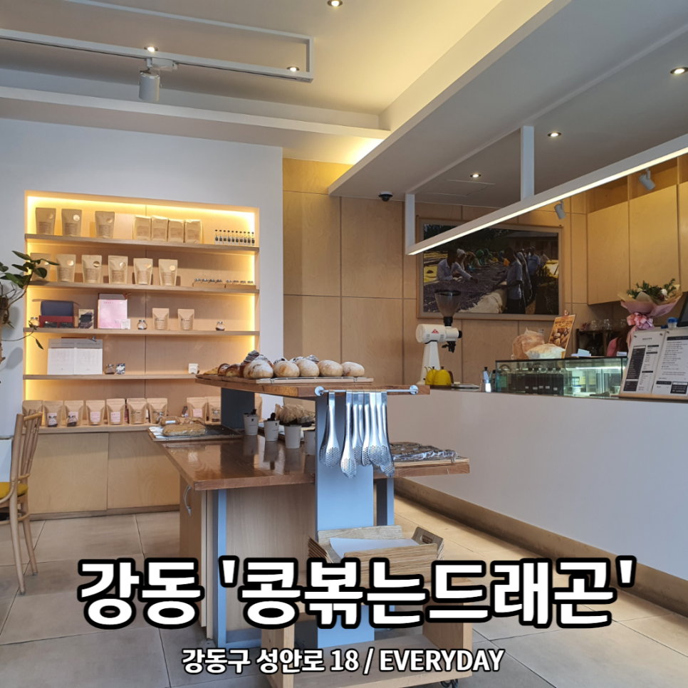 콩볶는드래곤 이미지