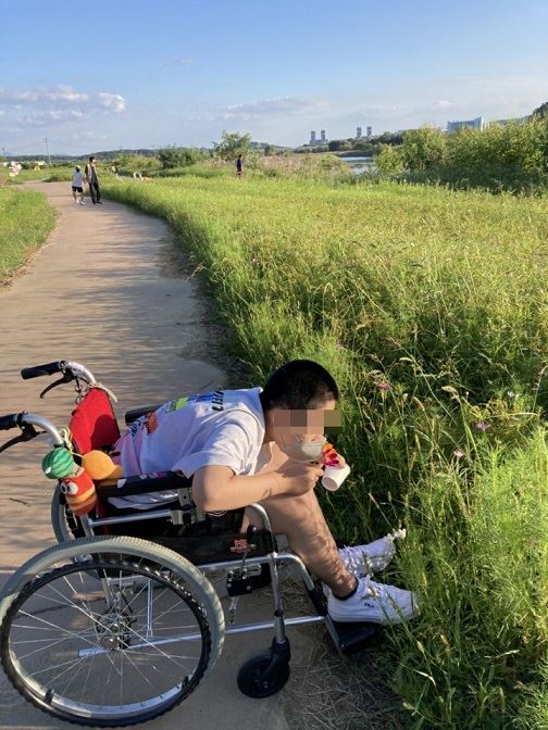 씨앗드림 이미지