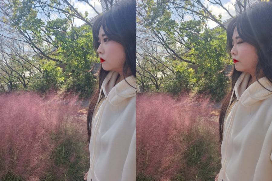 고고자매 이미지
