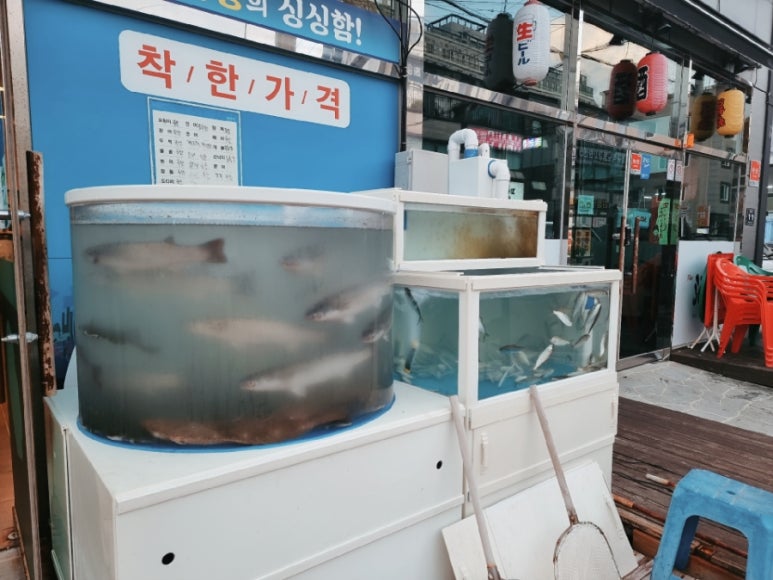 수미횟집 이미지