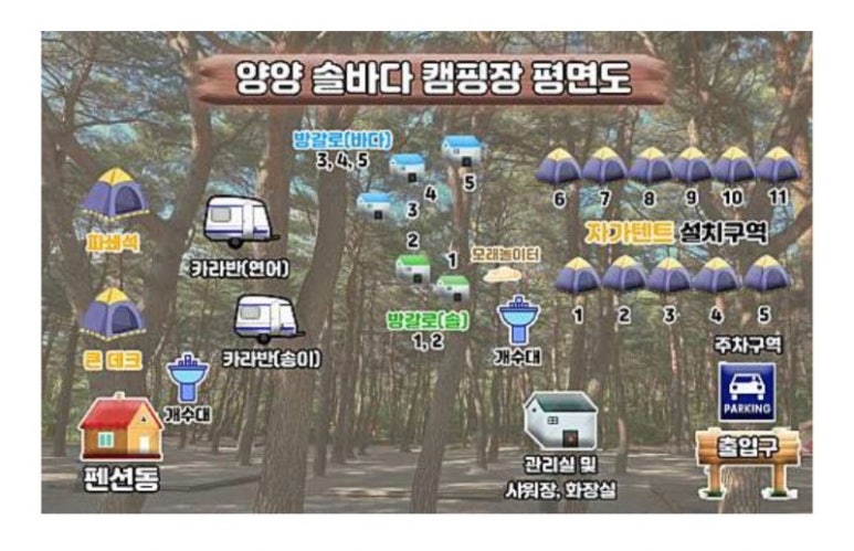 양양 솔바다 캠핑장 이미지