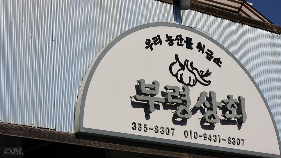 돌담양행 이미지