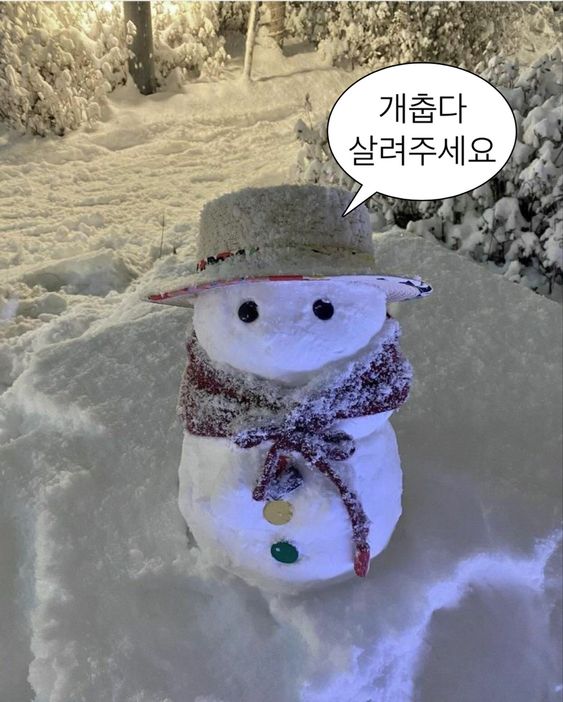 (주)미띤 이미지