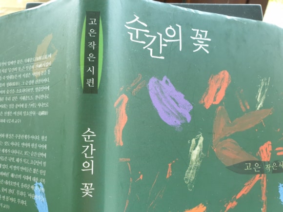 고은잠자리 이미지