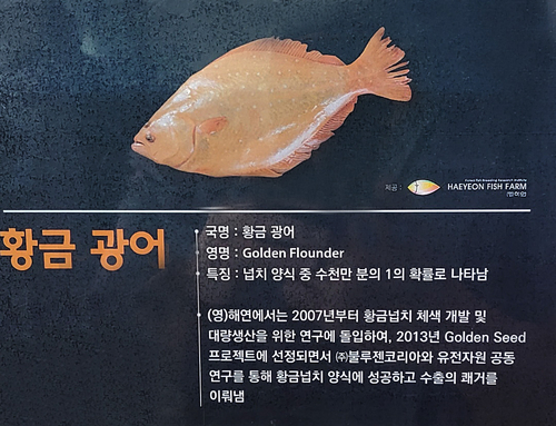 청정제주유통 이미지