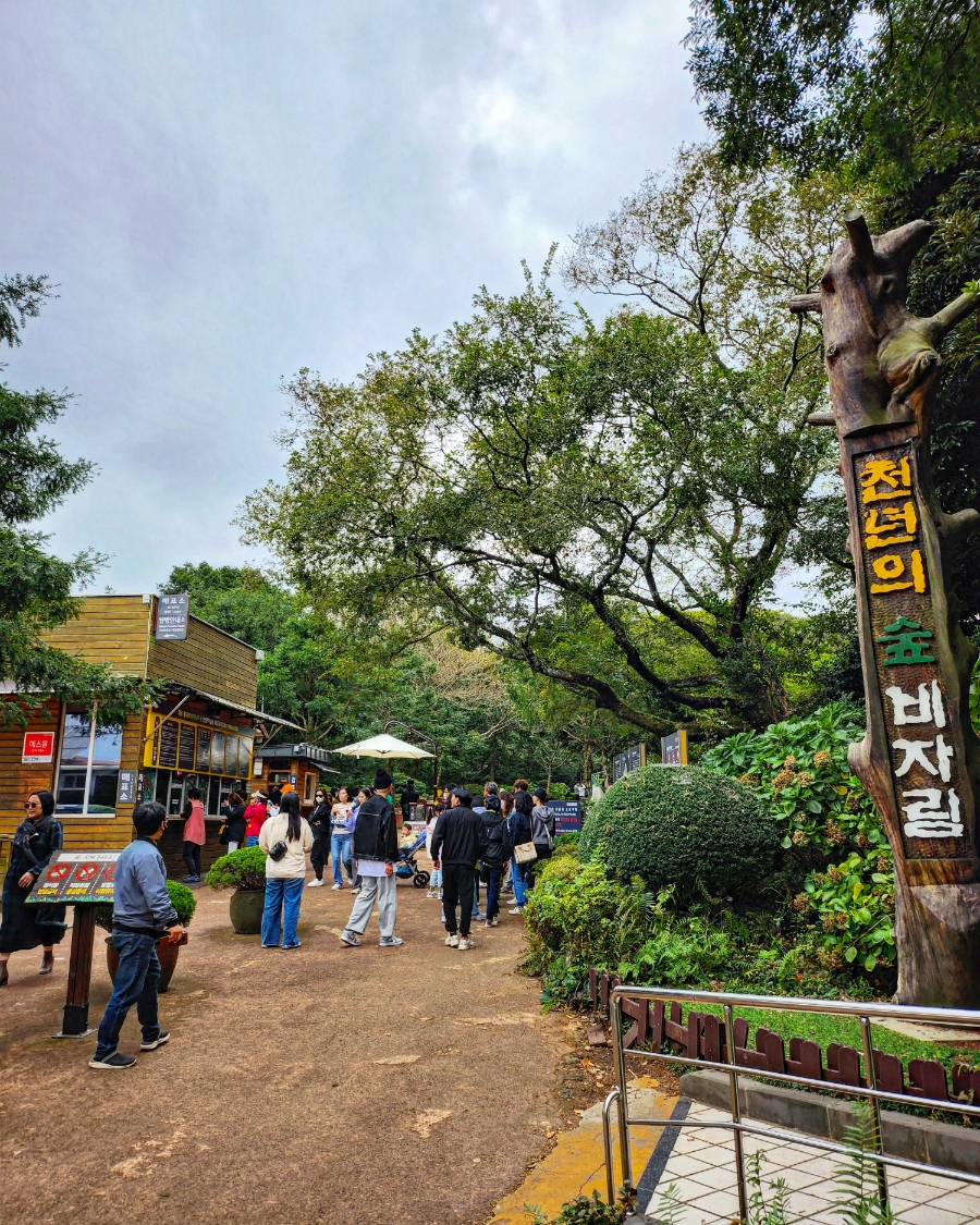 번영렌트카 이미지