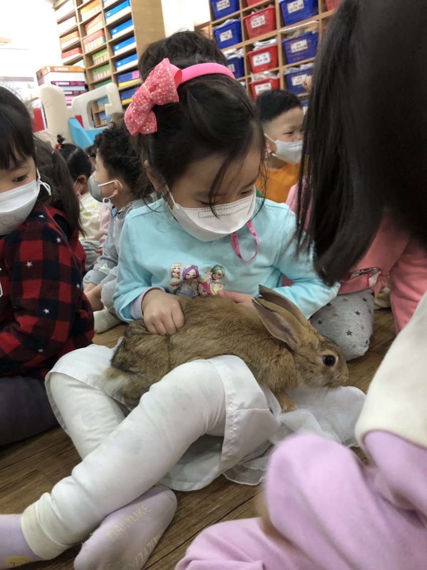 해와달유치원어린이집 이미지