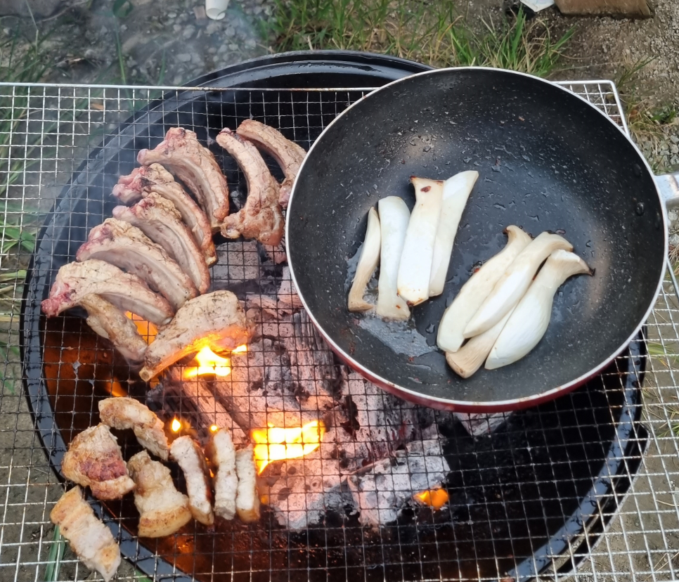 육식러 이미지