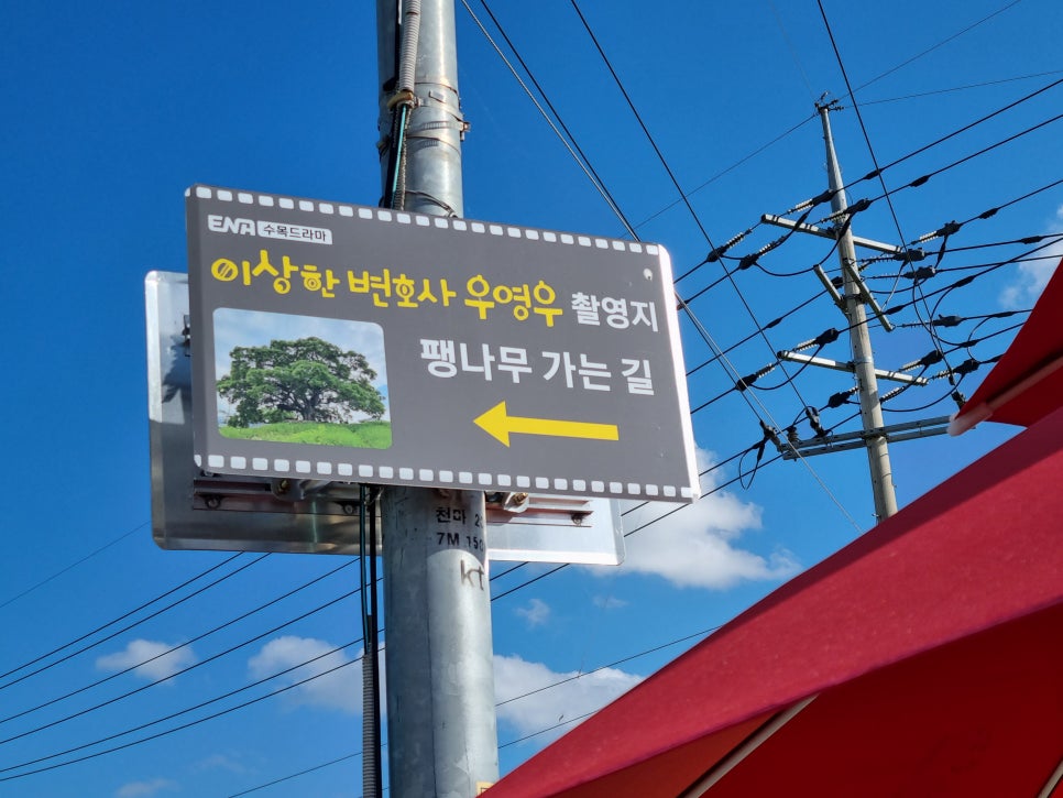 서정플라워 이미지