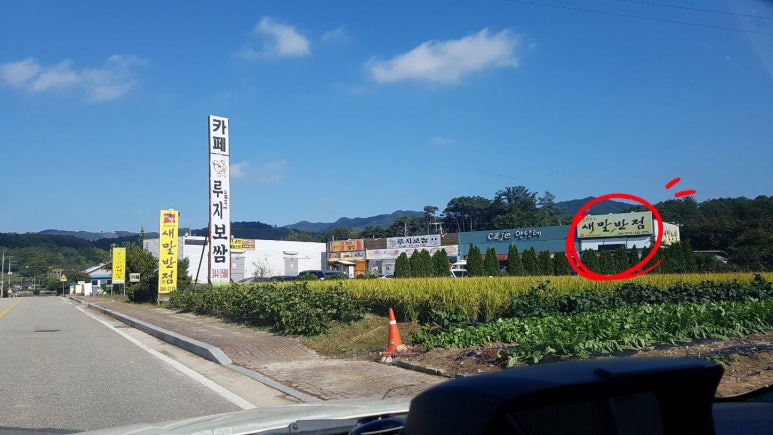 새말반점 이미지