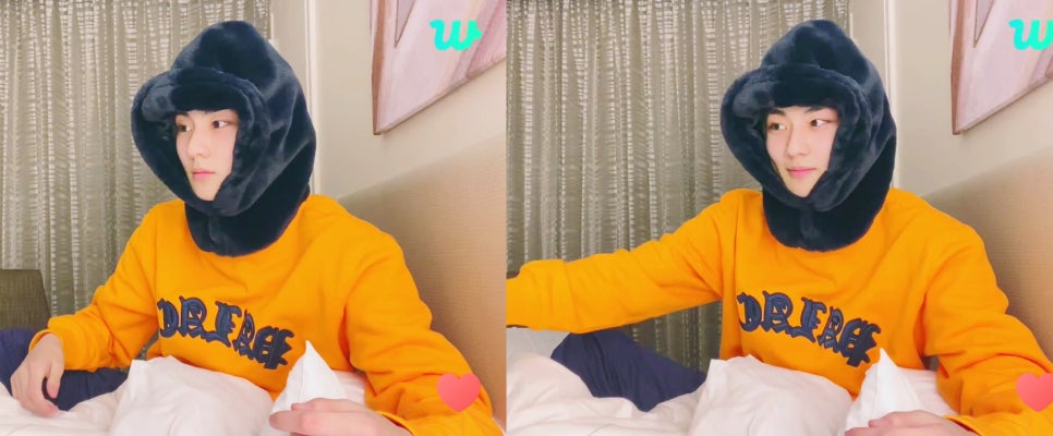 냥스 이미지