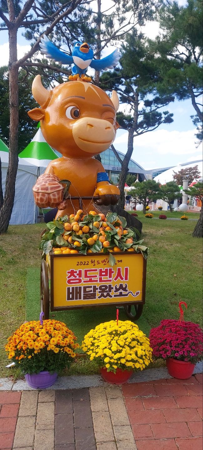 빵터짐체험학교메리포핀스 이미지