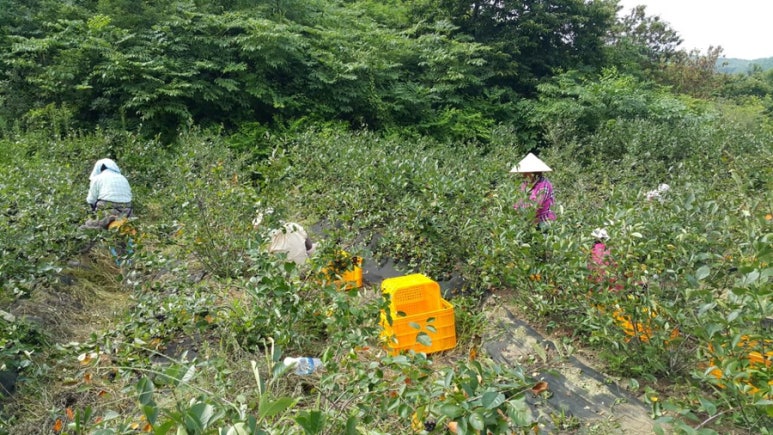 공기조아 이미지