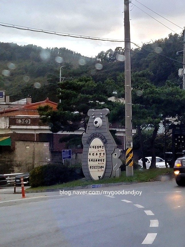 공주산림휴양마을 유아숲체험원 이미지