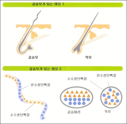 헤어성지 이미지