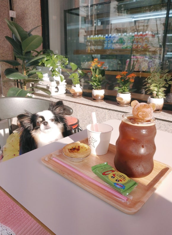 투몬스터캔커피 이미지